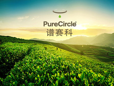 譜賽科網(wǎng)站建設(shè)