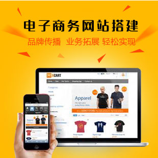 電子商務(wù)網(wǎng)站建設(shè)