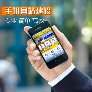 網(wǎng)站建設(shè)