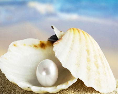 購(gòu)物網(wǎng)站開(kāi)發(fā)