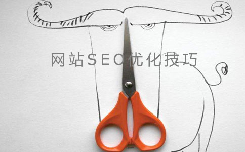 做網(wǎng)站seo優(yōu)化技巧